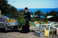 699073 Priest Selling Oranges, Southern Cyprus A4 Photo Print