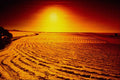 699075 Harvest Sunset A4 Photo Print