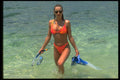 699079 Sandy, Reef Cruising A4 Photo Print