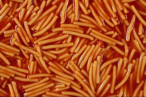 699089 Spaghetti In Tomato Sauce A4 Photo Print