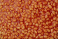699094 Baked Beans A4 Photo Print