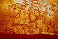 699098 Orange Tree Abstract A4 Photo Print