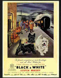 7 black and white dogs christmas whisky advert Advert A4 Photo Print