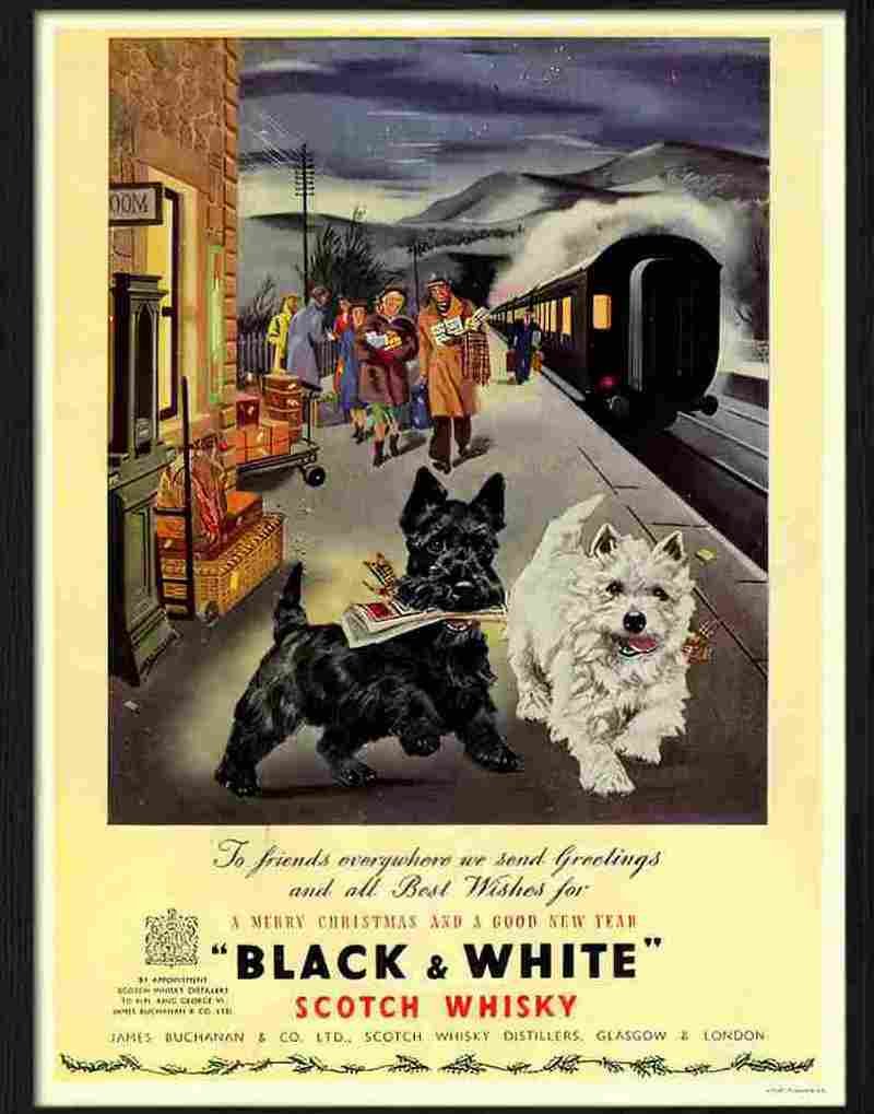 7 black and white dogs christmas whisky advert Advert A4 Photo Print