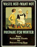 7 waste not want not war poster Advert A4 Photo Print