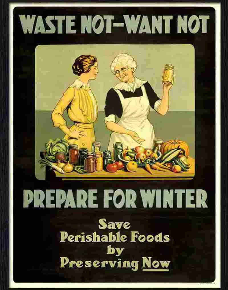 7 waste not want not war poster Advert A4 Photo Print