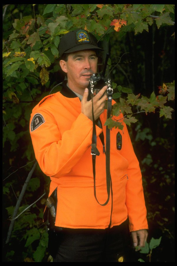 701059 Forest Warden In Action A4 Photo Print