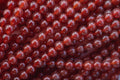 703008 Red Beads A4 Photo Print