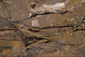 703014 Rock Face, Ontario, Canada A4 Photo Print