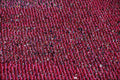 703021 People Practicing For Ceremony, Pyongyang, North Korea A4 Photo Print