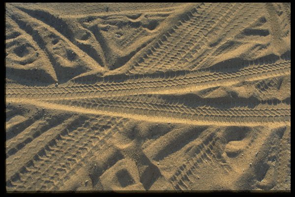 703029 Tire Tracks A4 Photo Print