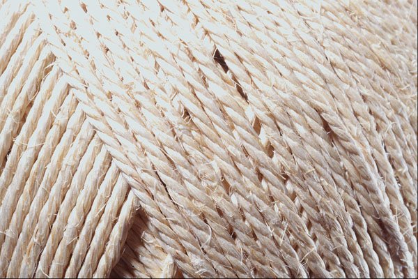 703051 Close up, Ball Of String A4 Photo Print