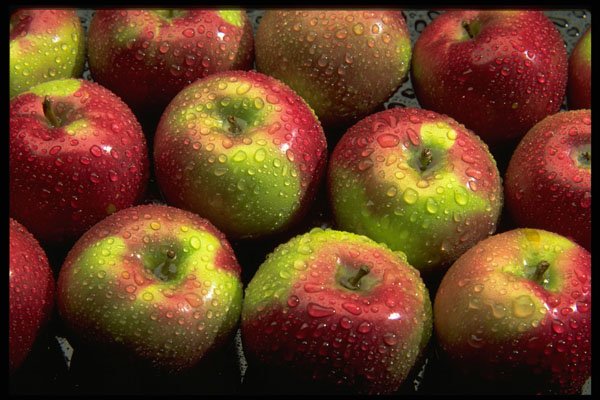 703071 Macintosh Apples A4 Photo Print