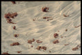 703076 Sand Pattern, Lugillo Beach, Puerto Rico A4 Photo Print