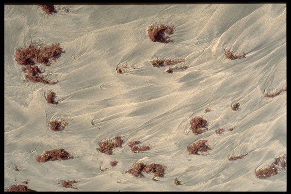 703076 Sand Pattern, Lugillo Beach, Puerto Rico A4 Photo Print