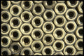 703083 Nuts A4 Photo Print