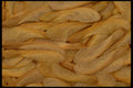 703084 Maple Seeds A4 Photo Print
