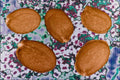704011 Alyssum Seeds (Berteroa Incana) A4 Photo Print