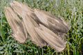 704020 Orchard Grass Seeds A4 Photo Print