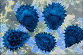 704025 Forget me not Seeds (Myosotis Palustris) A4 Photo Print