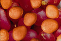 704040 Radish Seeds (Raphanus Sativus) A4 Photo Print