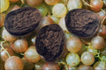 704041 Gooseberry Seeds (Ribes Grossularia) A4 Photo Print