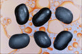 704045 Black Beans (Phaseolus Vulgaris) A4 Photo Print