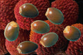 704050 Litchi seeds (Litchi chinensis) A4 Photo Print