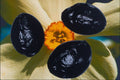 704060 Daffodil Seeds (Narcissus Pseudonarcissus) A4 Photo Print