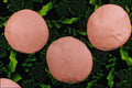 704080 Lentils (Lens Esculenta) A4 Photo Print