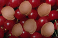 704083 Sour Cherry Stones (Prunus Cerasus) A4 Photo Print