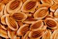 704089 Dill Seeds (Anethum Graveolens) A4 Photo Print