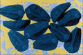 704094 Morning Glory Seeds (Ipomoea Purpurea) A4 Photo Print