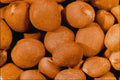 704098 Radish Seeds (Raphanus Sativus) A4 Photo Print