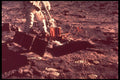 706013 Buzz Aldrin Deploys Seismic Package, Courtesy NASA A4 Photo Print