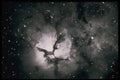 706050 Trifed Nebula In Sagittarius, Courtesy NASA A4 Photo Print