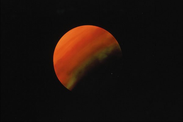 706067 Venus A4 Photo Print