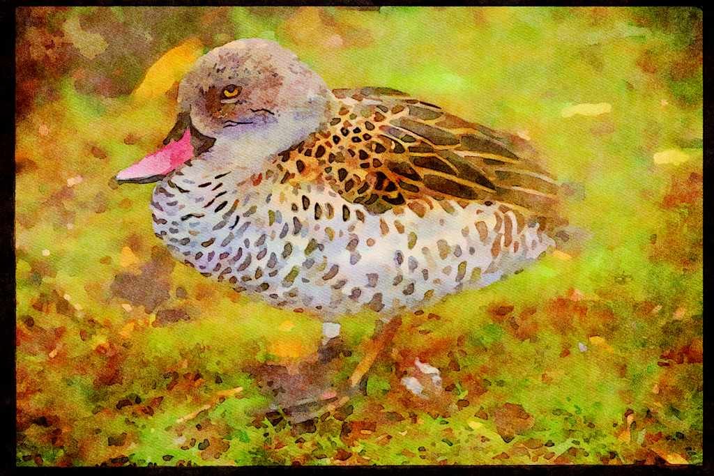 707001 Cape Teal A4 Limited Edition Watercolour Print