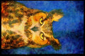 707016 Great Horned Owl A4 Limited Edition Watercolour Print