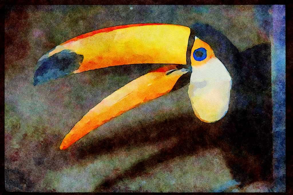 707018 Toucan A4 Limited Edition Watercolour Print