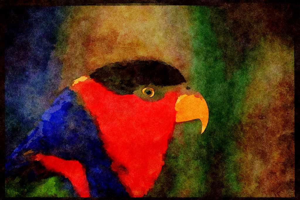 707040 Colorful Parrot, Bird Park, Singapore A4 Limited Edition Watercolour Print