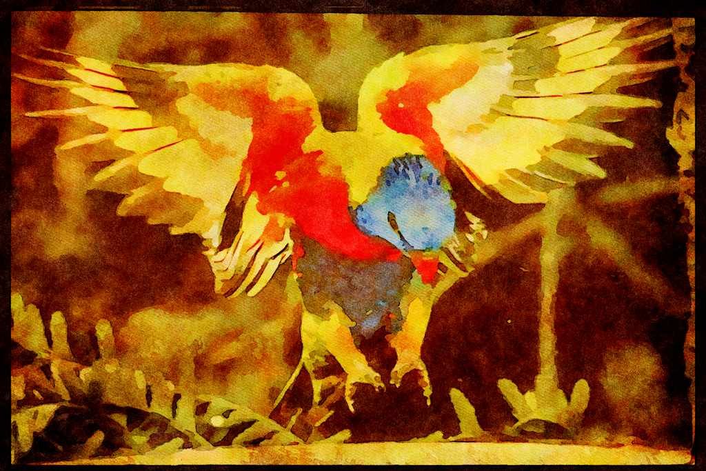 707051 Parrot A4 Limited Edition Watercolour Print