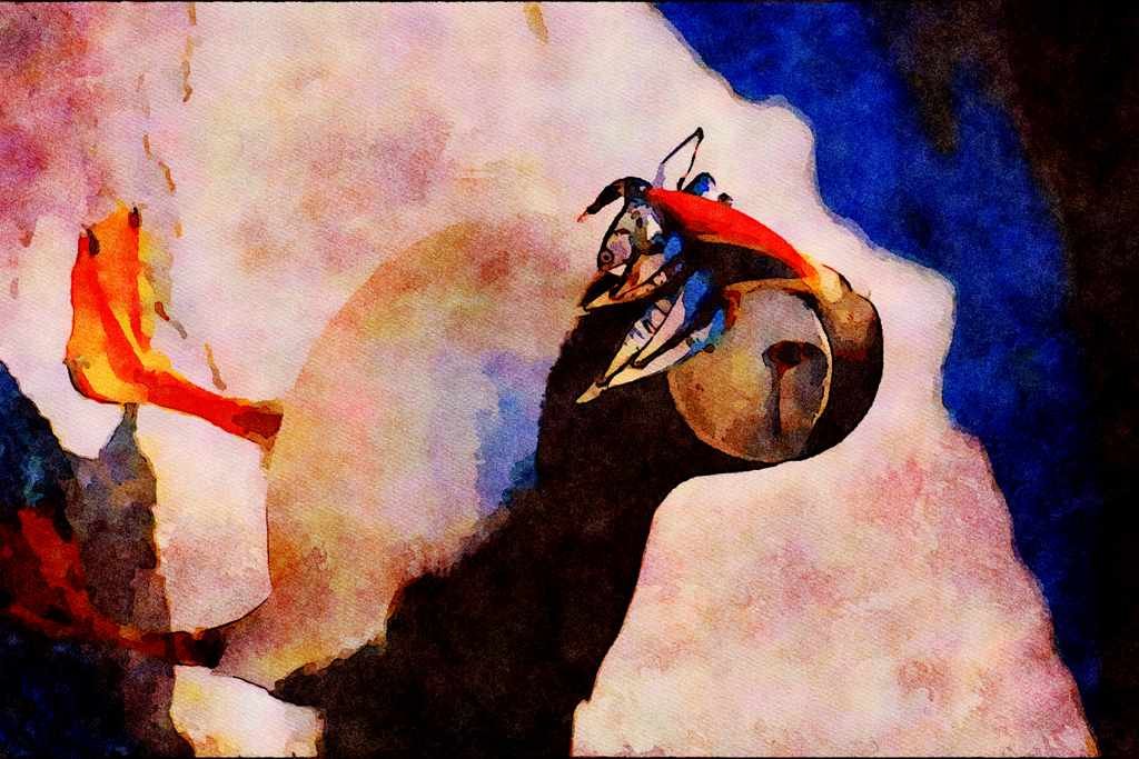 707072 Puffin A4 Limited Edition Watercolour Print