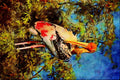 707088 Painted Stork A4 Limited Edition Watercolour Print