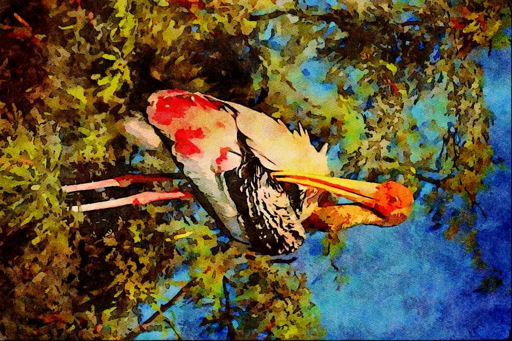707088 Painted Stork A4 Limited Edition Watercolour Print