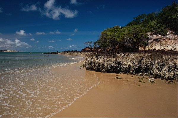 708010 Ponta Negra Beach, Natal, Brazil A4 Photo Print