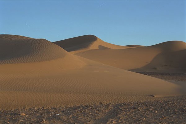 708013 Dunes Of Northern Sahara, Tinfou A4 Photo Print