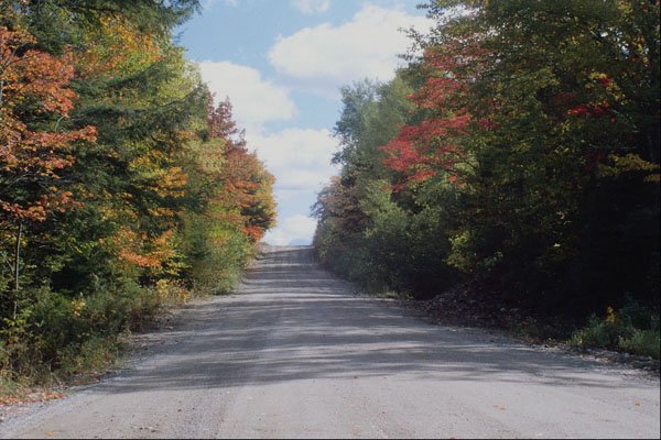 708015 Albert County Backroads, New Brunswick, Canada A4 Photo Print