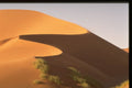708046 Sand Dunes A4 Photo Print