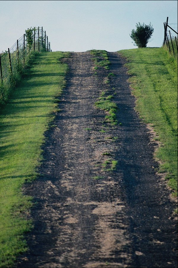 708054 Steep Gravel Road A4 Photo Print